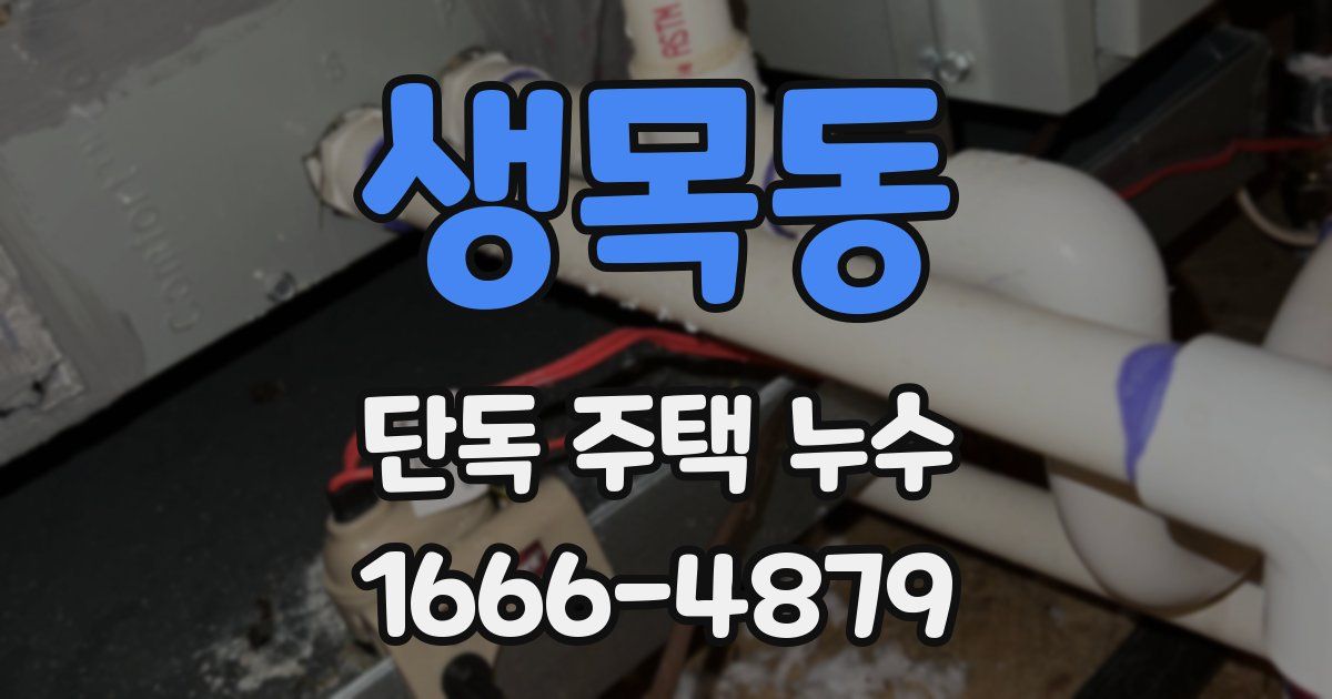 생목동 단독 주택 누수