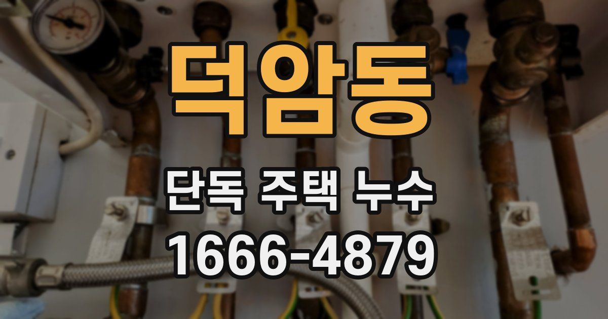 덕암동 단독 주택 누수