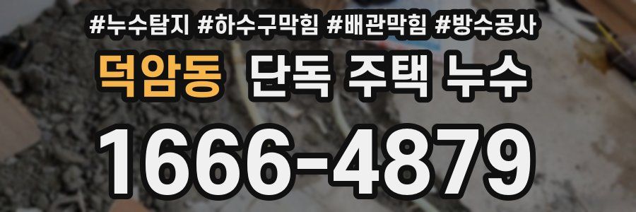 덕암동 단독 주택 누수