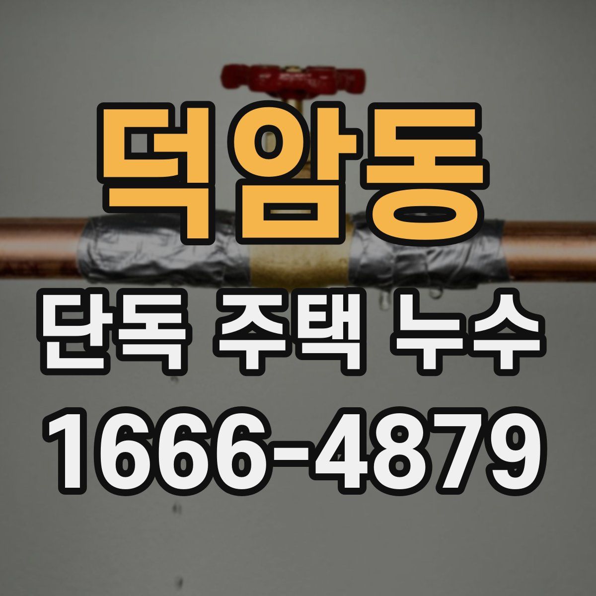 덕암동 단독 주택 누수