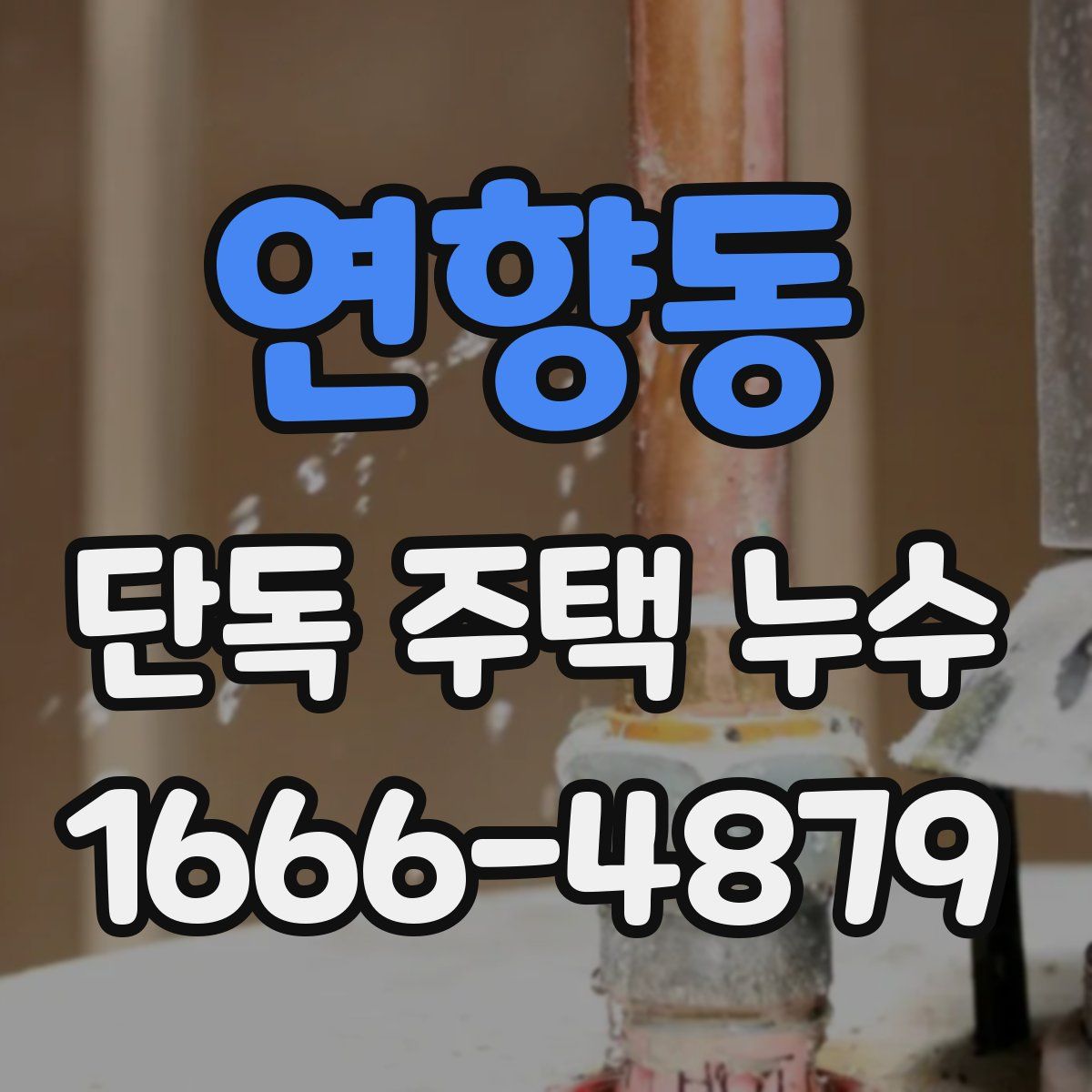 연향동 단독 주택 누수