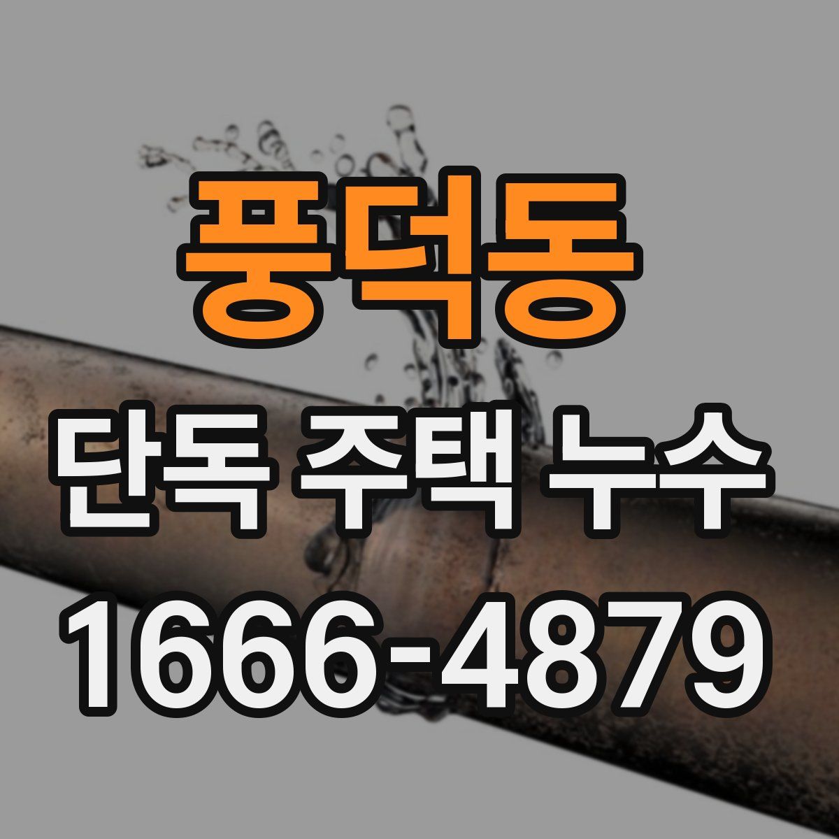 풍덕동 단독 주택 누수