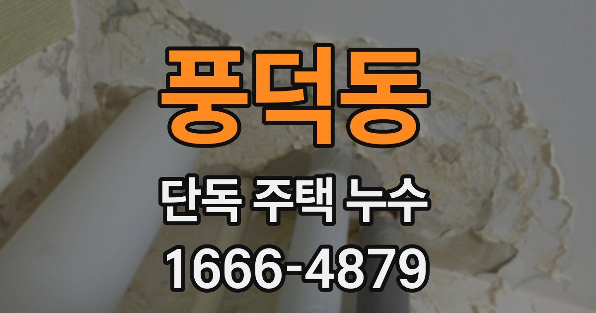 풍덕동 단독 주택 누수