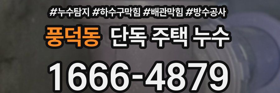 풍덕동 단독 주택 누수