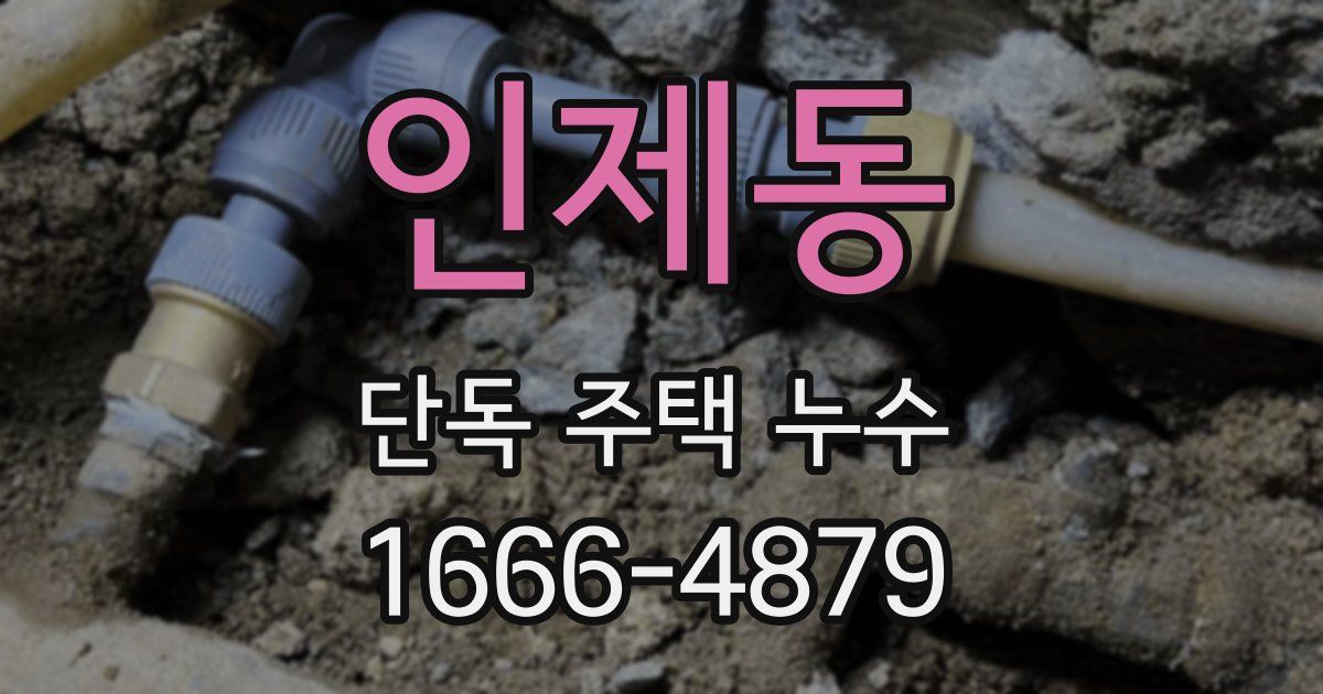 인제동 단독 주택 누수