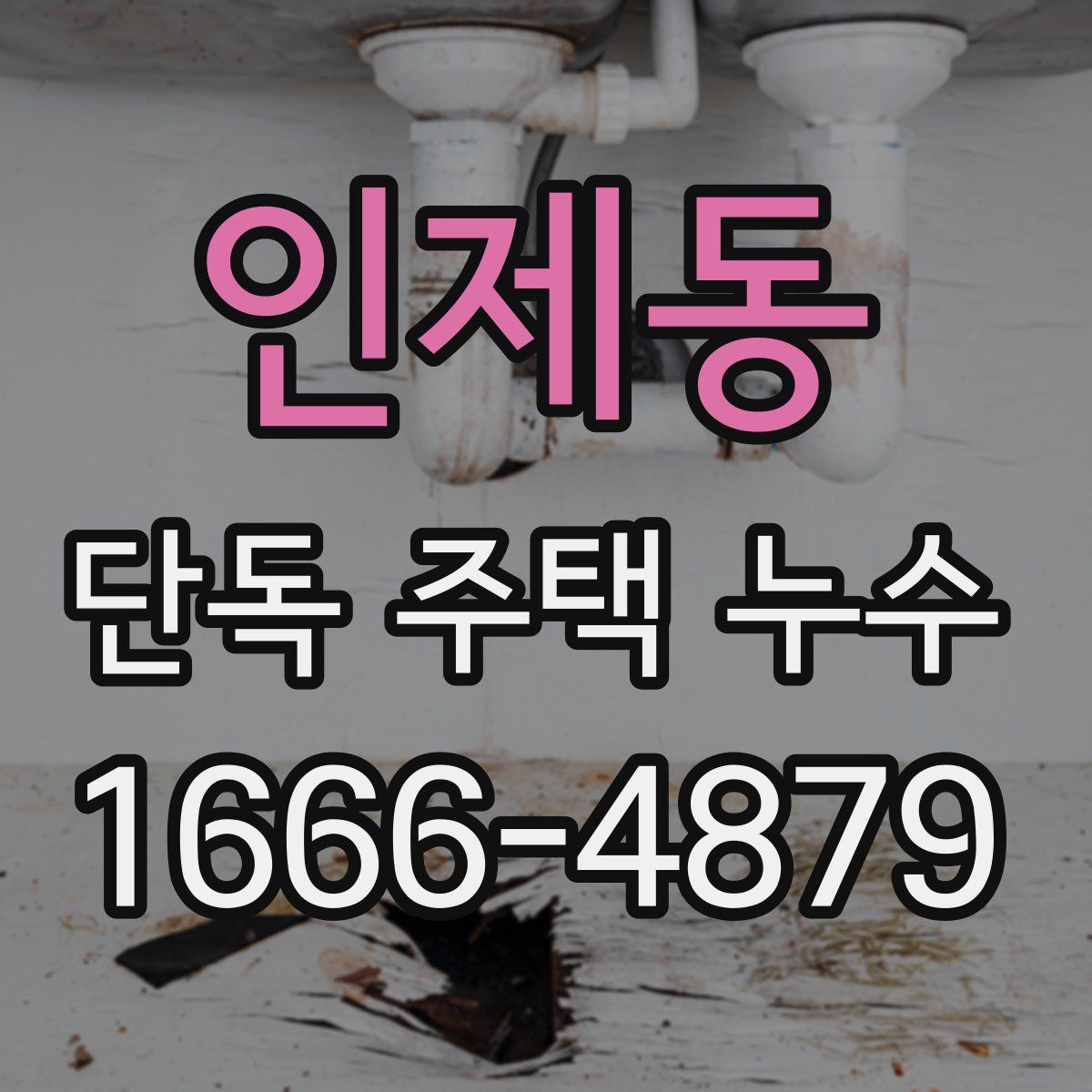 인제동 단독 주택 누수