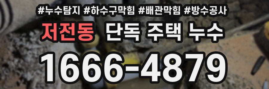 저전동 단독 주택 누수