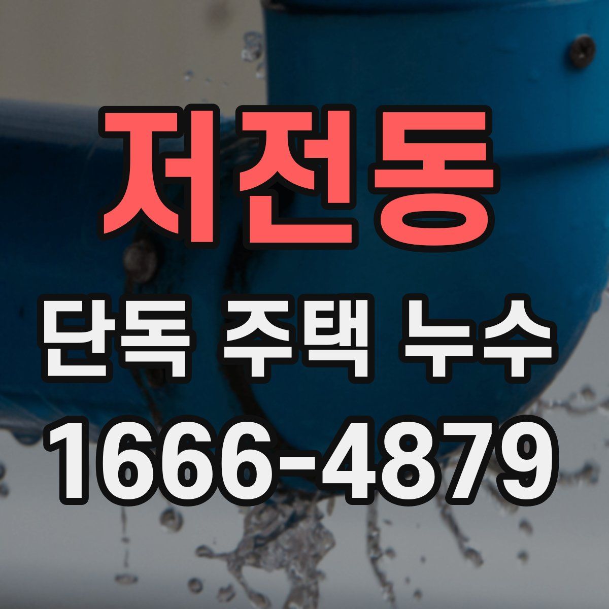 저전동 단독 주택 누수