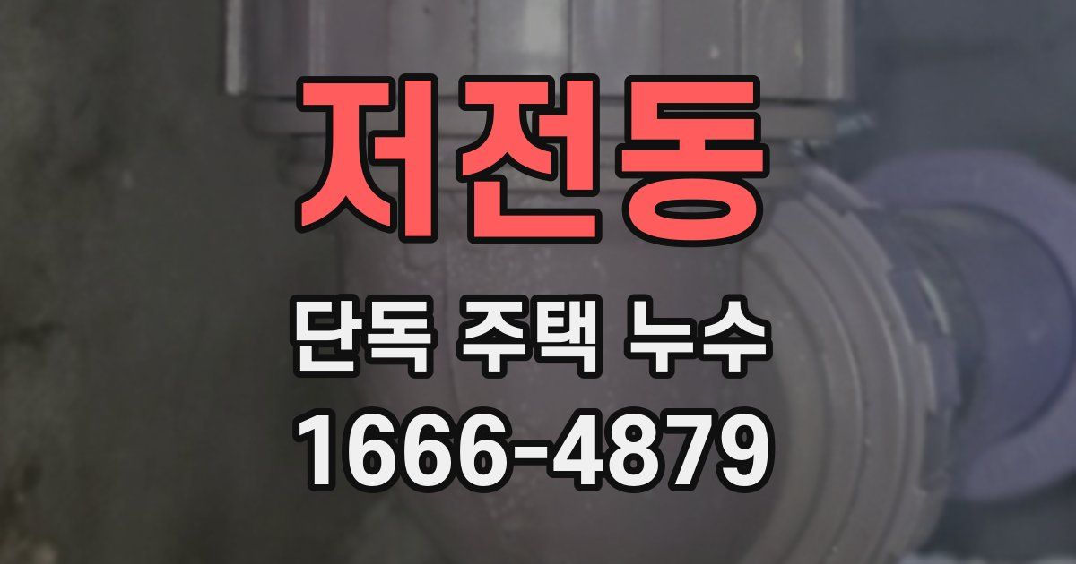저전동 단독 주택 누수