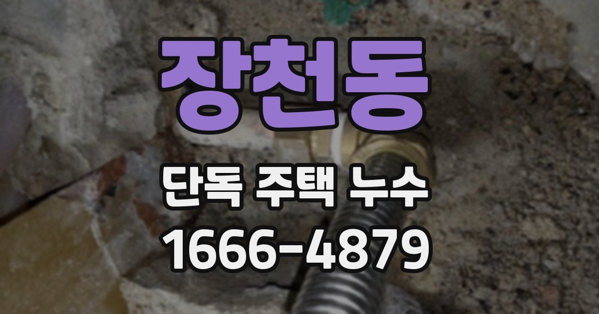 장천동 단독 주택 누수