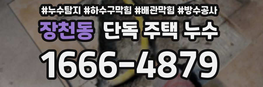 장천동 단독 주택 누수