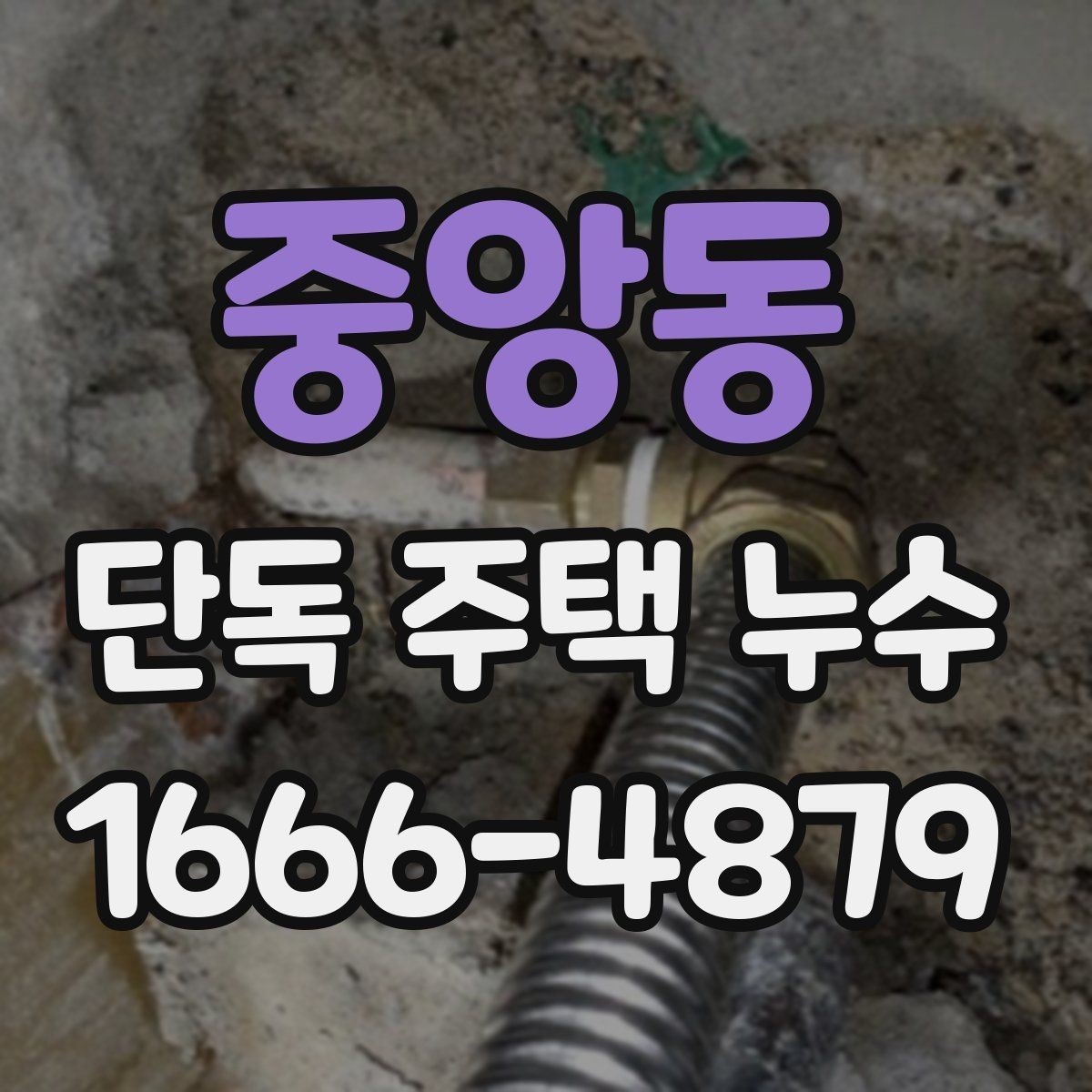 중앙동 단독 주택 누수 관리에 필요한 정기 점검