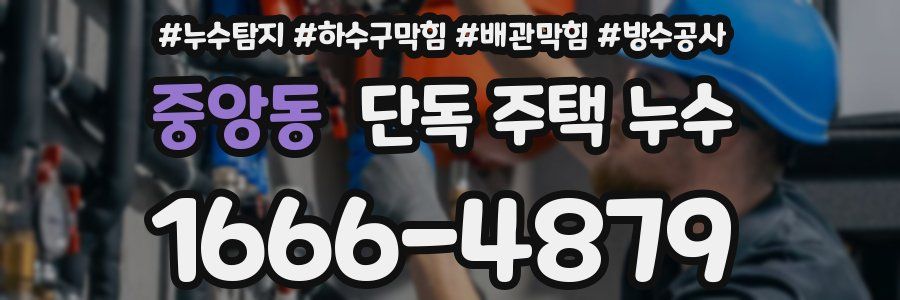 중앙동 단독 주택 누수