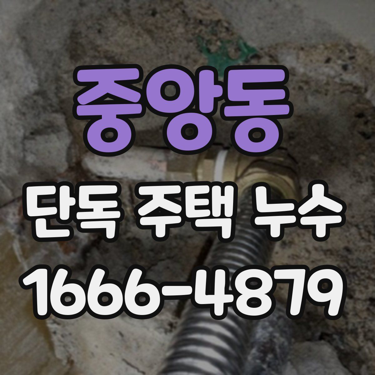 중앙동 단독 주택 누수