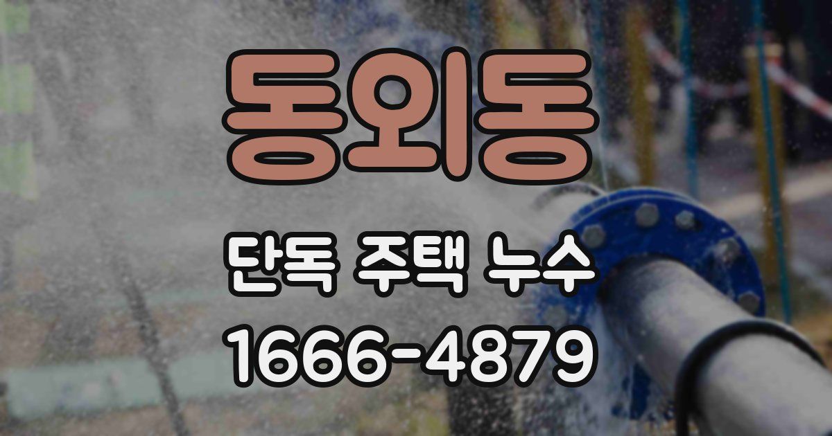 동외동 단독 주택 누수