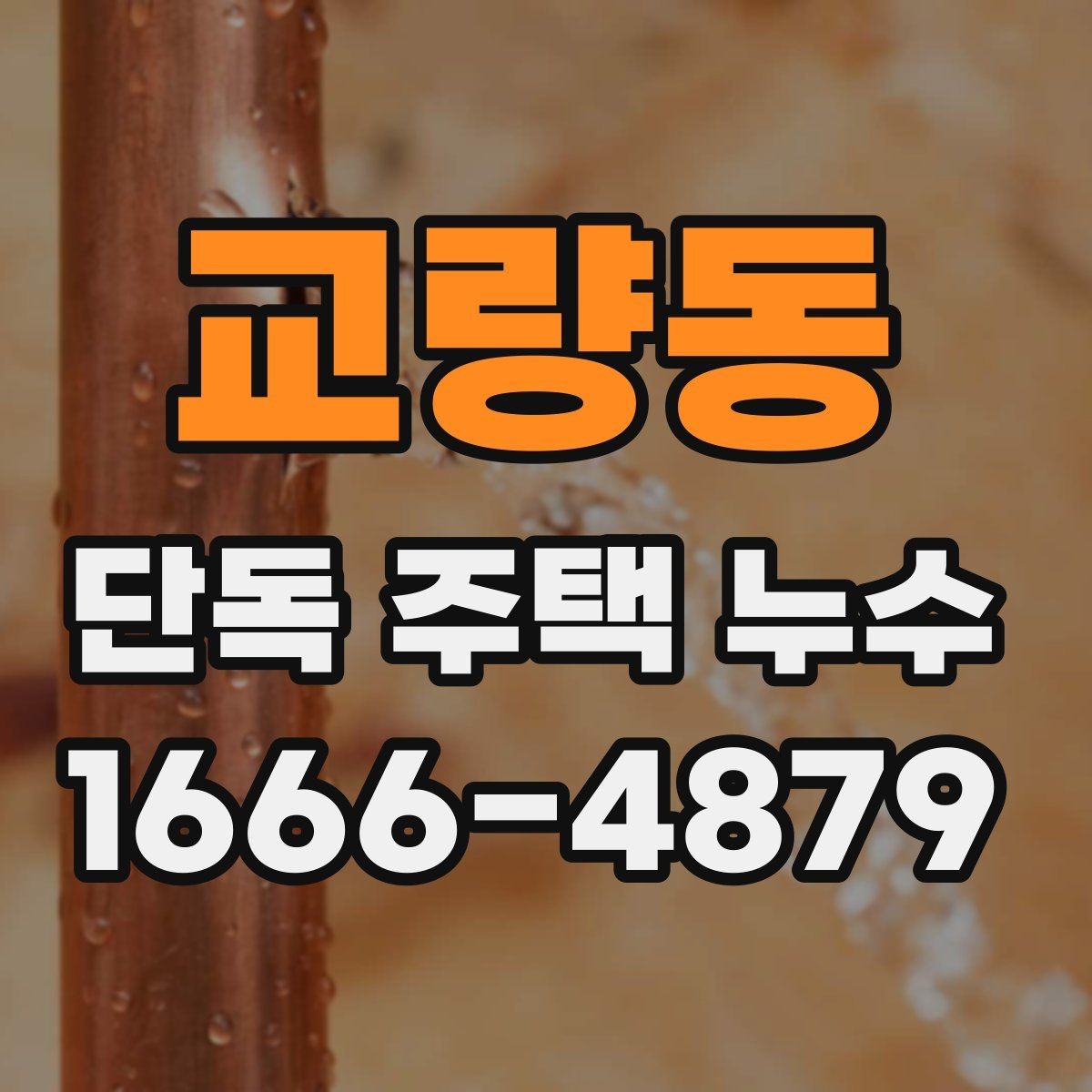 교량동 단독 주택 누수 원인마다 다른 보수 방식