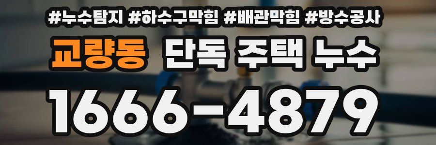 교량동 단독 주택 누수