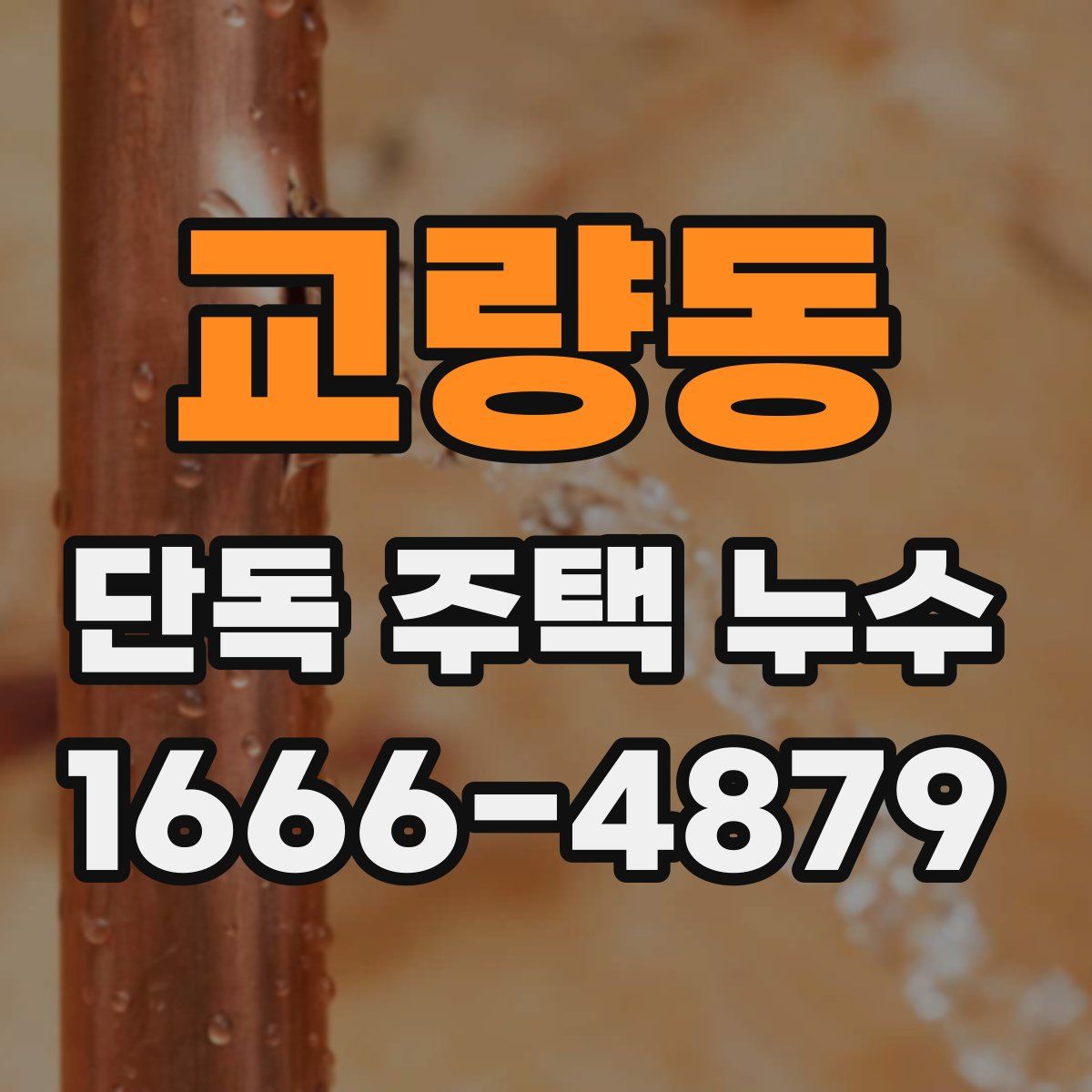 교량동 단독 주택 누수
