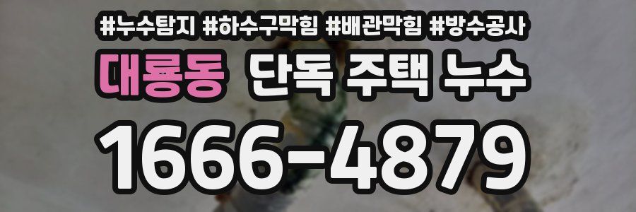 대룡동 단독 주택 누수