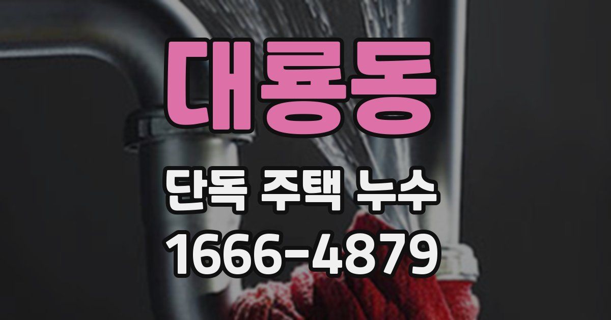 대룡동 단독 주택 누수