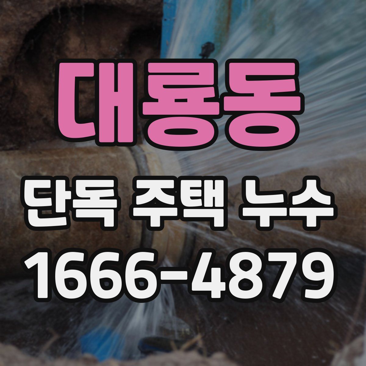 대룡동 단독 주택 누수