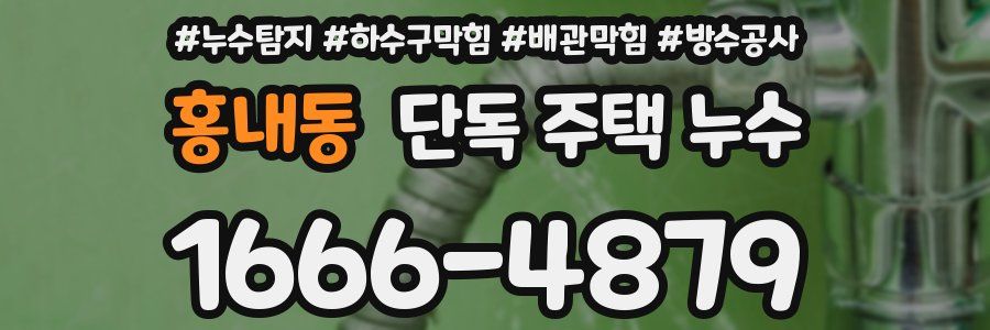 홍내동 단독 주택 누수
