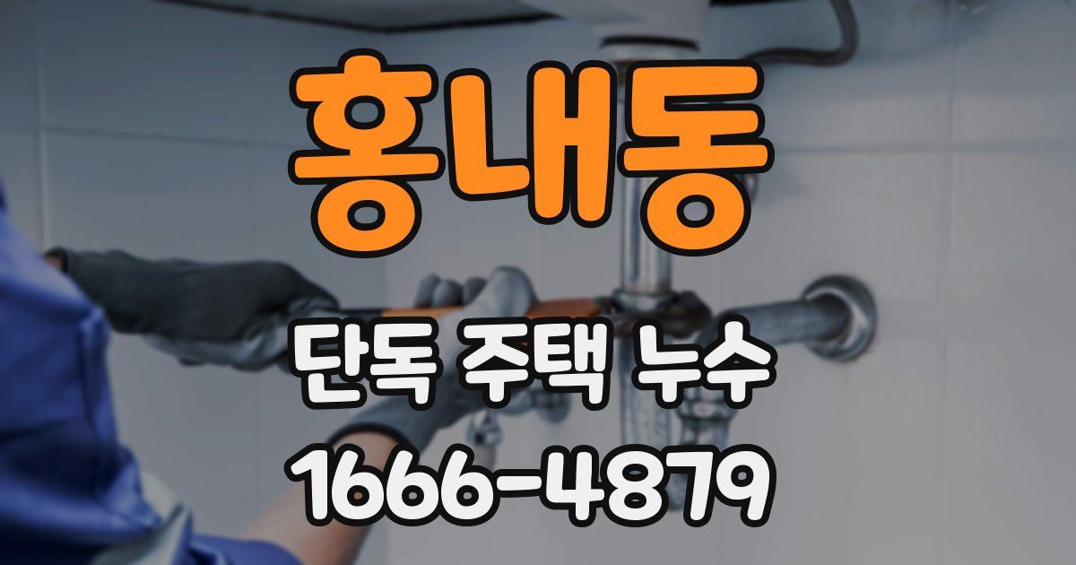 홍내동 단독 주택 누수