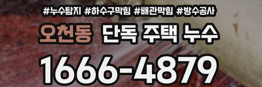 오천동 단독 주택 누수