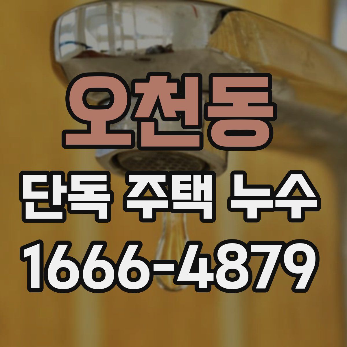 오천동 단독 주택 누수
