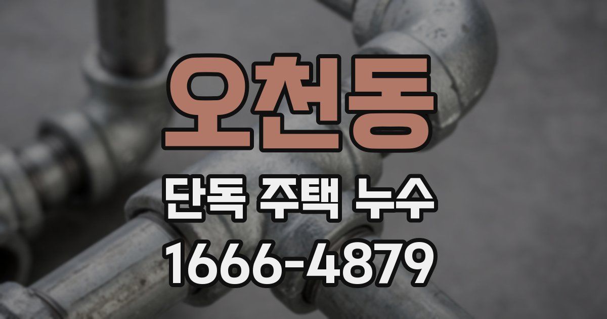 오천동 단독 주택 누수