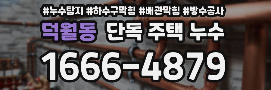 덕월동 단독 주택 누수