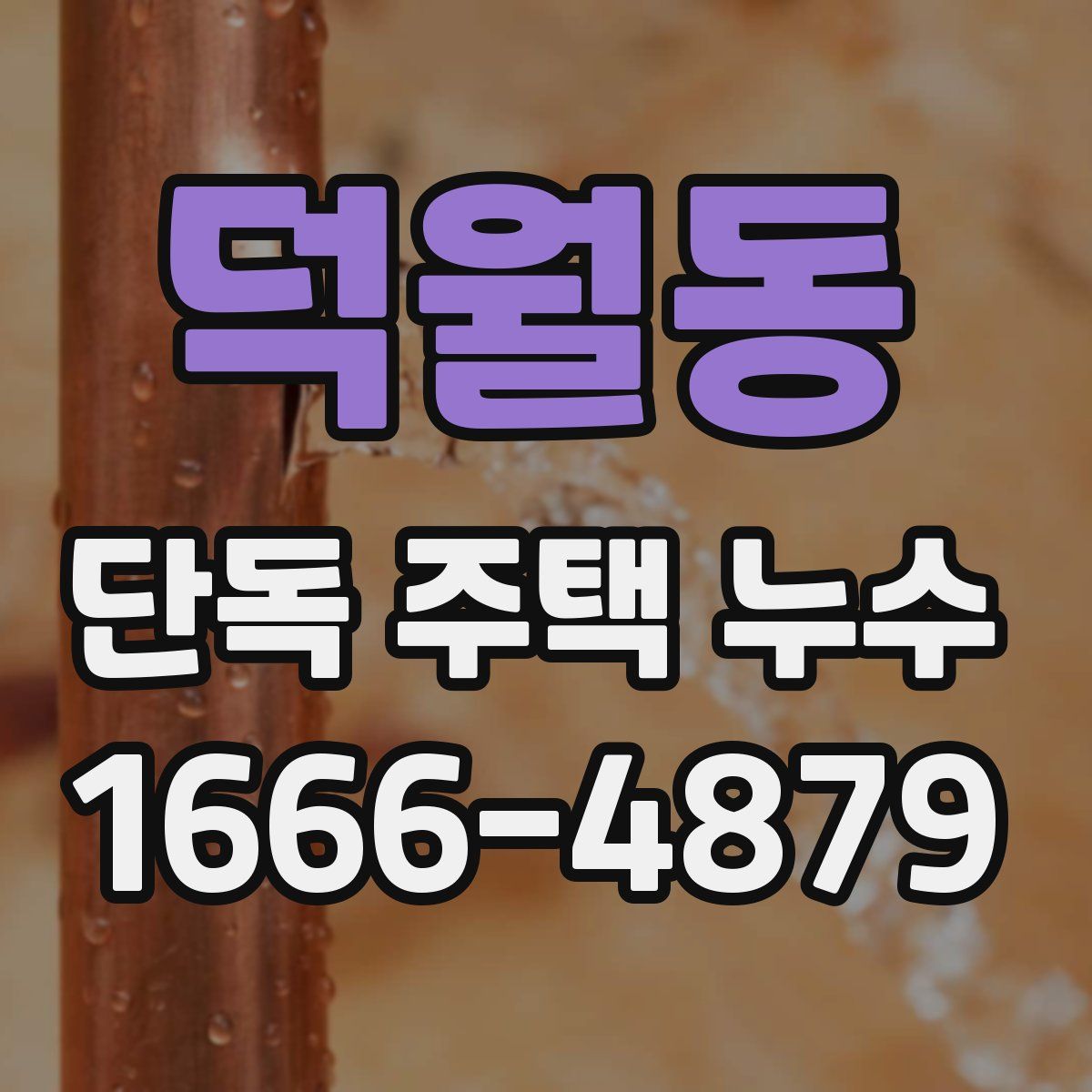 덕월동 단독 주택 누수