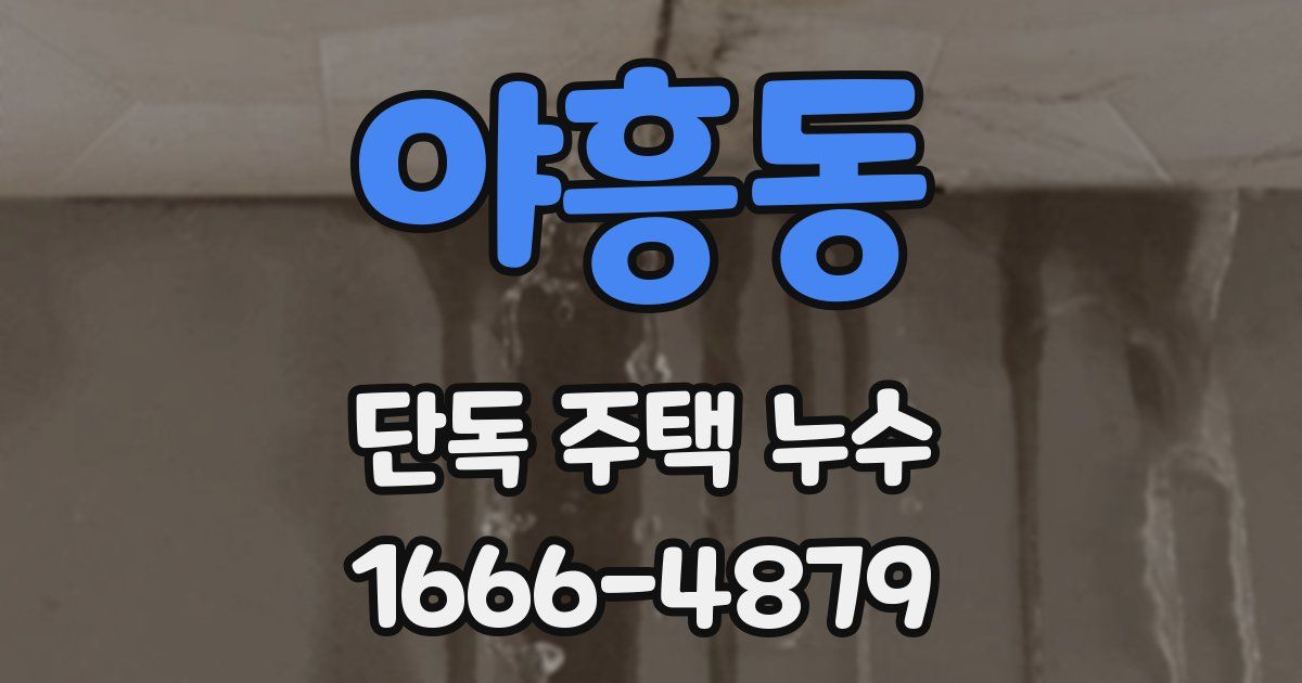 야흥동 단독 주택 누수