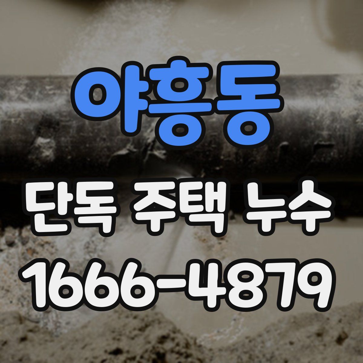 야흥동 단독 주택 누수