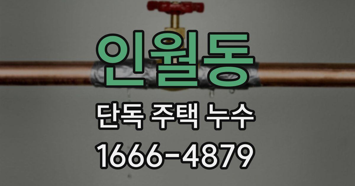 인월동 단독 주택 누수