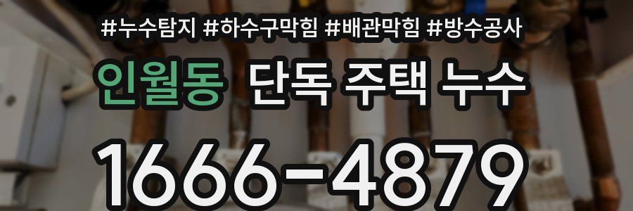 인월동 단독 주택 누수