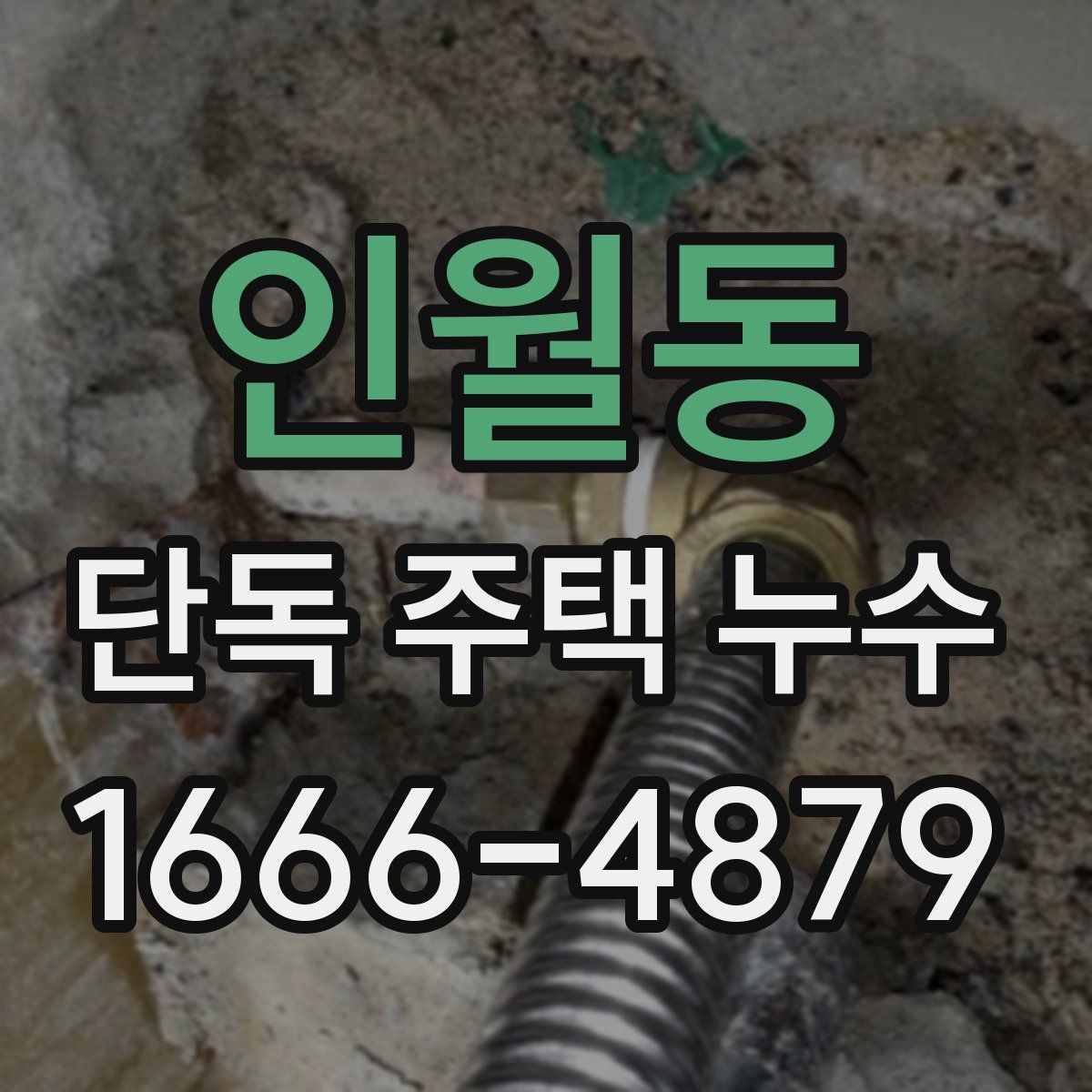 인월동 단독 주택 누수