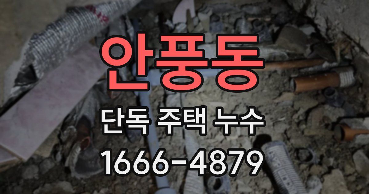 안풍동 단독 주택 누수