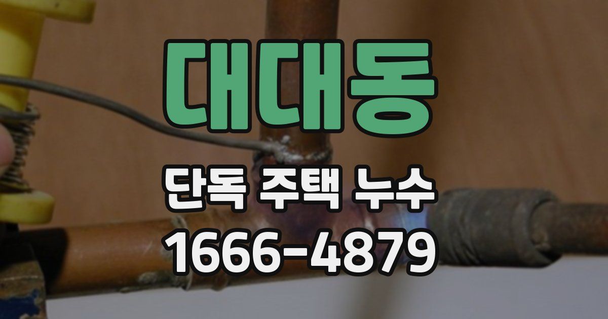 대대동 단독 주택 누수