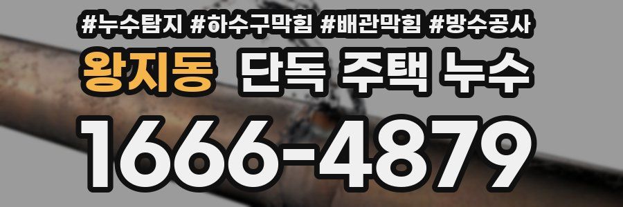 왕지동 단독 주택 누수