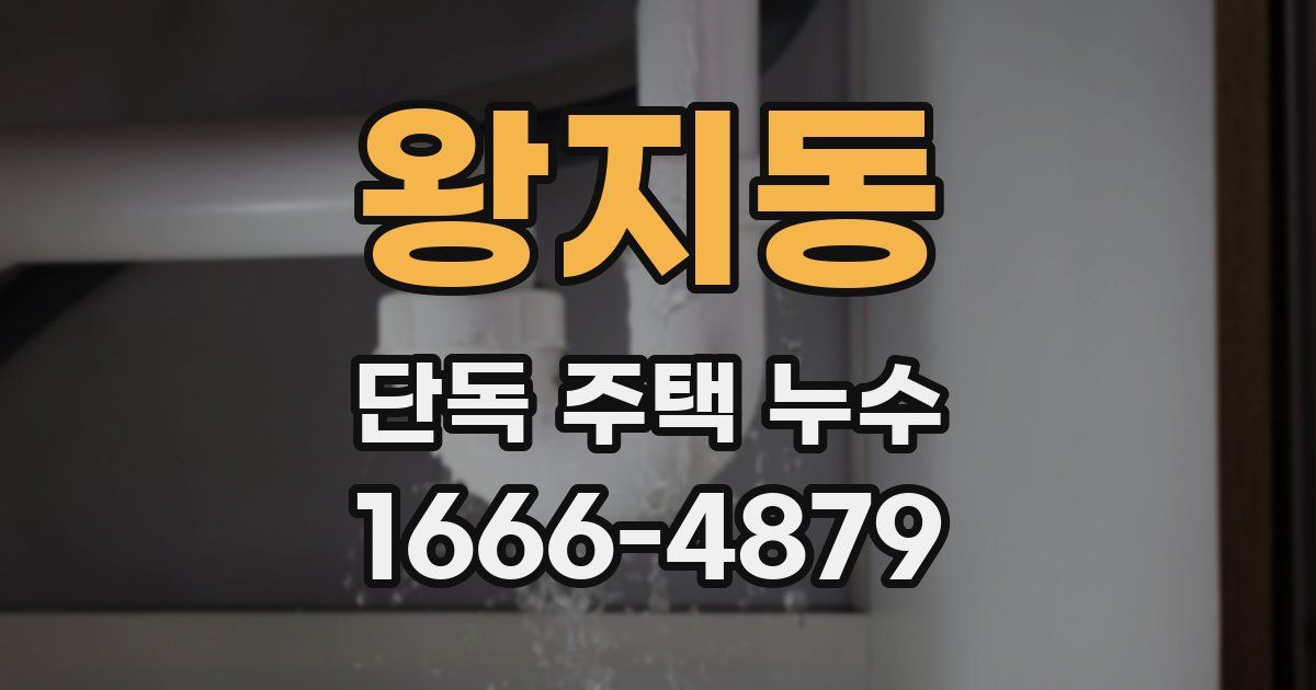 왕지동 단독 주택 누수