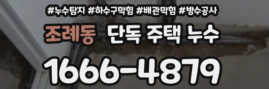 조례동 단독 주택 누수
