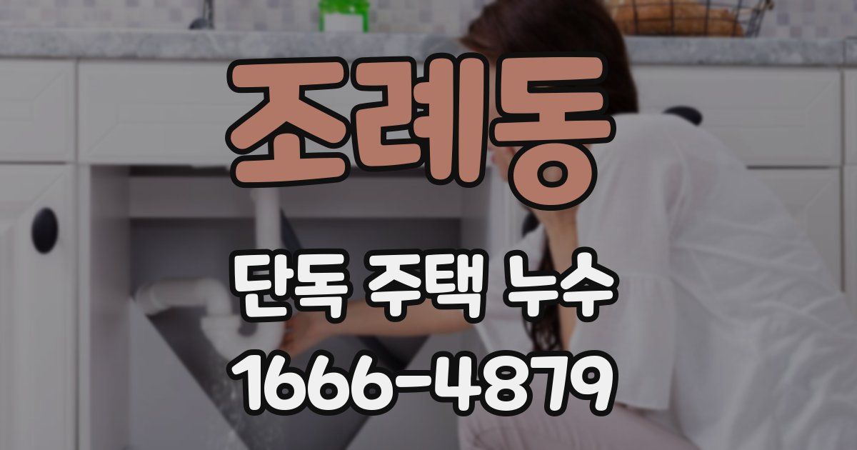 조례동 단독 주택 누수