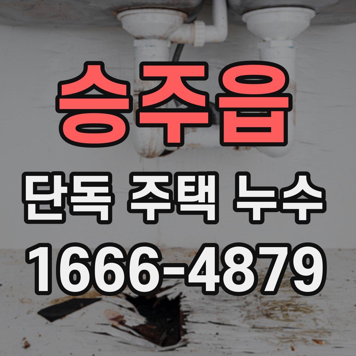 승주읍 단독 주택 누수