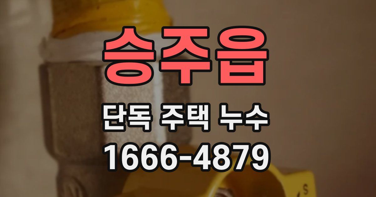 승주읍 단독 주택 누수