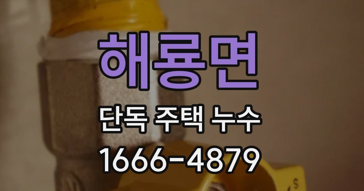 해룡면 단독 주택 누수