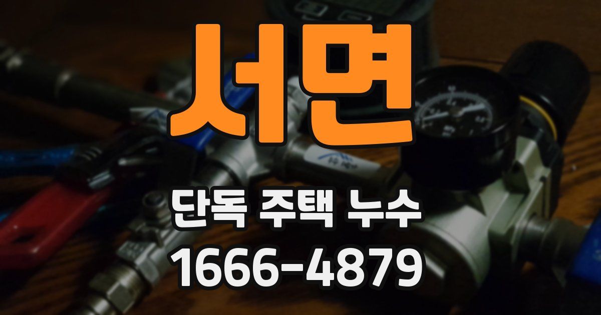 서면 단독 주택 누수