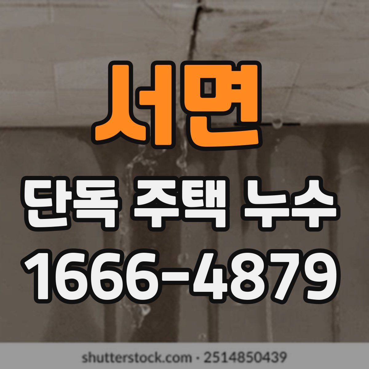 서면 단독 주택 누수