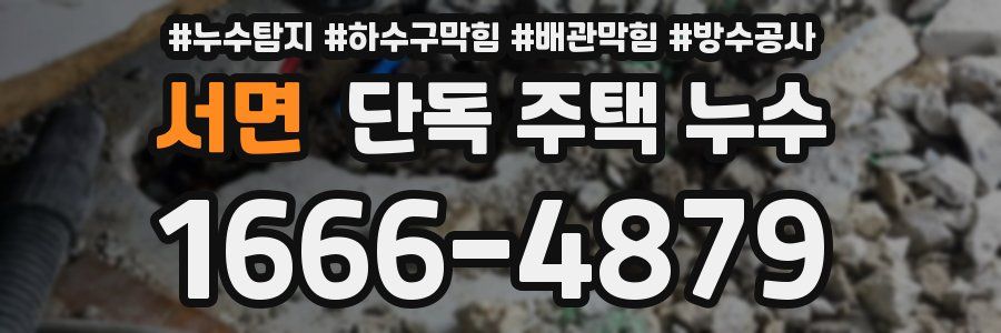서면 단독 주택 누수