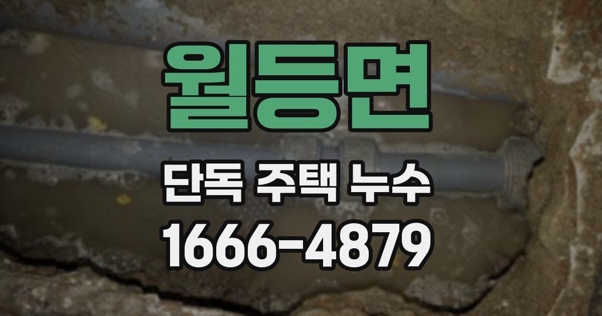 월등면 단독 주택 누수